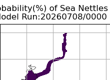NOAA Potomac River jellyfish map for today, Alexandria