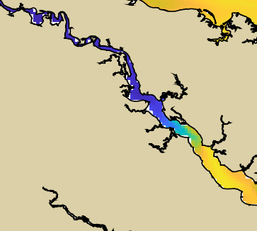 VIMS jellyfish map for today, Essex County