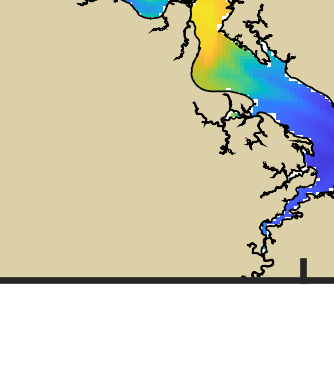 VIMS jellyfish map for today, Isle of Wight County