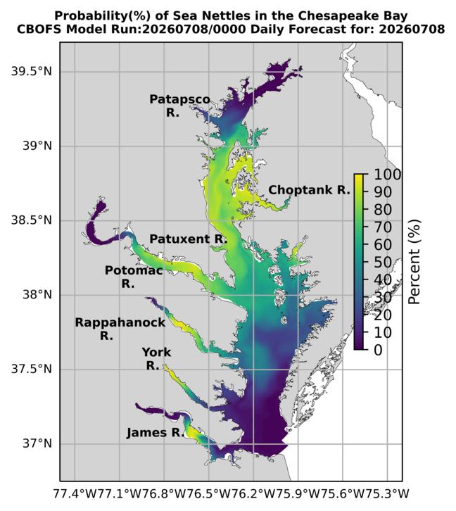 NOAA Full Bay jellyfish map for today, Virginia