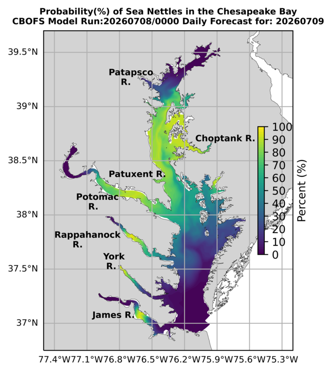 NOAA Full Bay jellyfish map for tomorrow, Virginia
