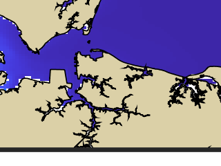 VIMS jellyfish map for today, Norfolk