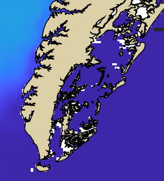 VIMS jellyfish map for today, Northampton County