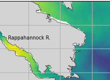 NOAA Rappahannock River jellyfish map for today, Northumberland County