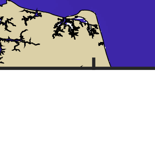 VIMS jellyfish map for today, Virginia Beach