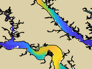 VIMS jellyfish map for today, Williamsburg